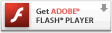 Flash Player �����������