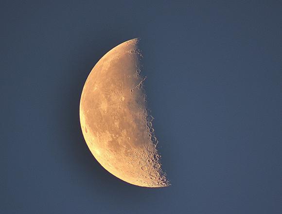 冬になると思いだす「新月の木」