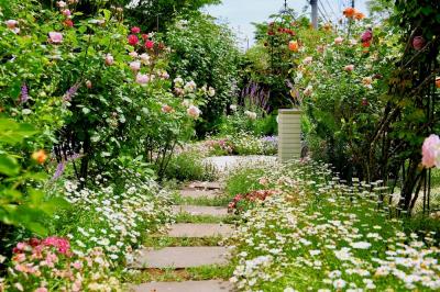 コンクリートジャングル