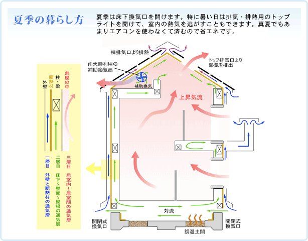 Ƶ餷