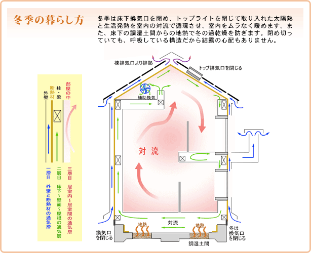 ߵ餷